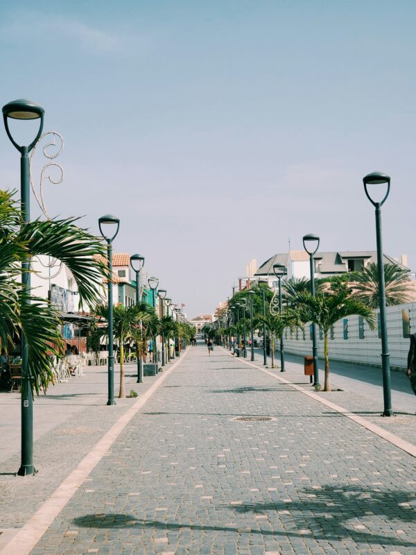 Cap Vert - Janvier à Mars 2025 – Image 6