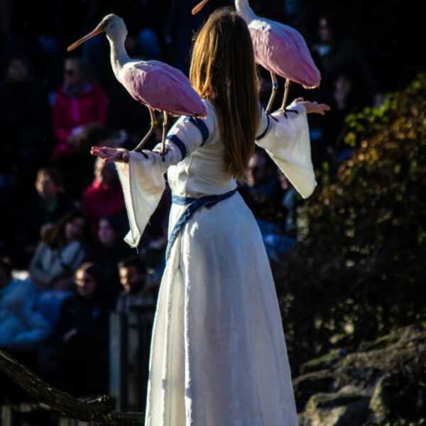 Séjour 2 jours au Puy du Fou - 13 au 14 septembre 2025