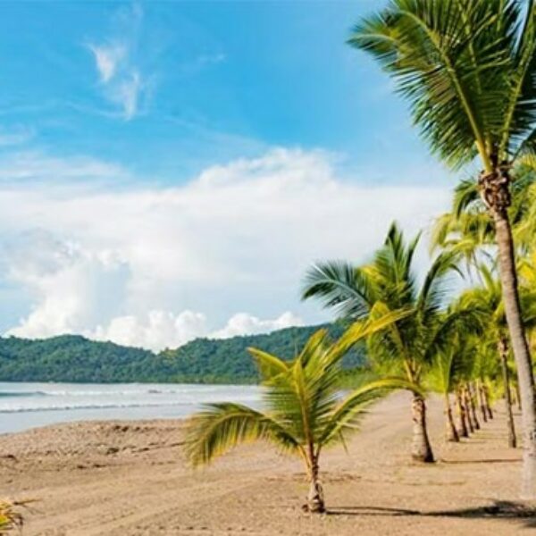 Costa Rica - Saison 2026