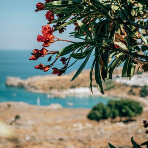 katarzyna-urbanek-qua67UupCWc-unsplash