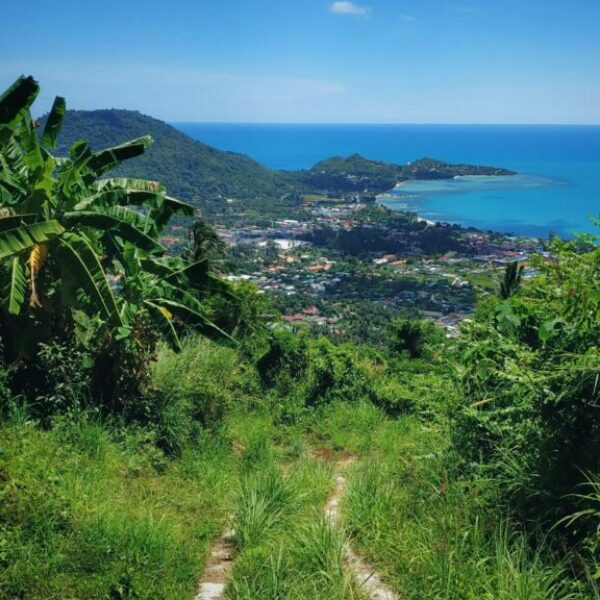 Séjour en Guadeloupe - du 18 au 25 janvier 2026