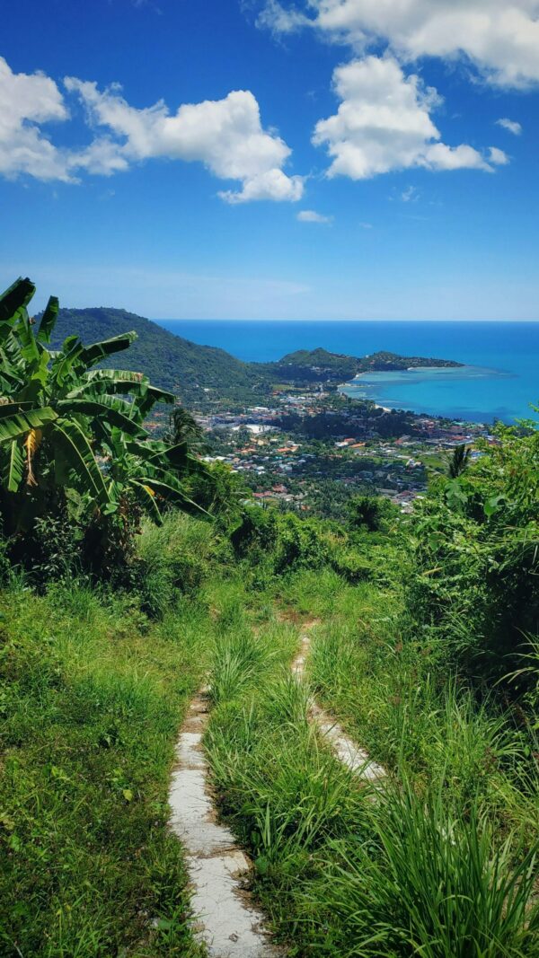 Séjour en Guadeloupe - du 18 au 25 janvier 2026