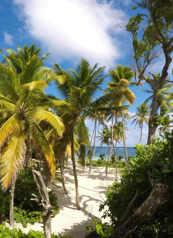 Séjour en Guadeloupe - du 18 au 25 janvier 2026 – Image 3