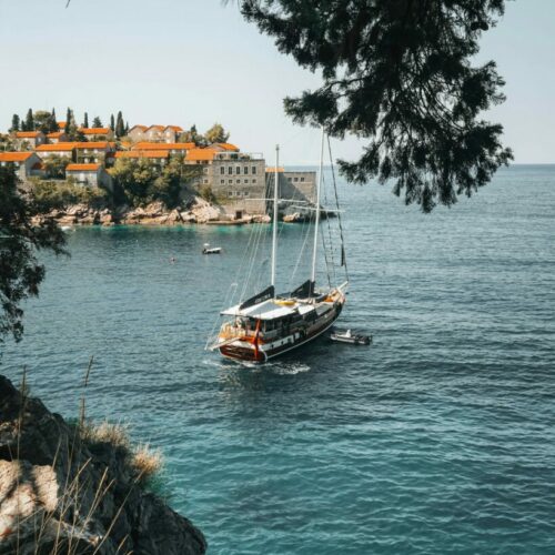 petar-lazarevic-J6Ij4p87lD8-unsplash.jpg